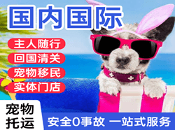 黄山屯溪航空托运国际宠物托运 【国